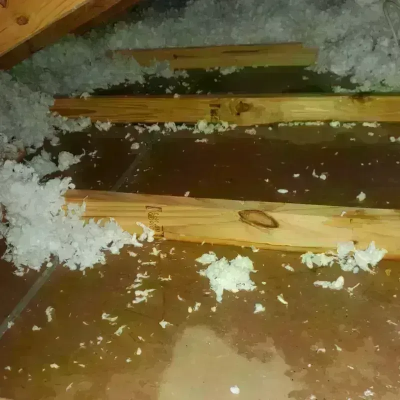 Attic Water Damage in Pana, IL